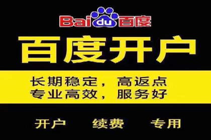 竞价广告案例分析：广告投放成本控制策略